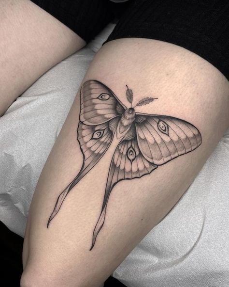 Luna Moth Tattoo. Tattoo Papillon, Luna Moth Tattoo, Butterfly Thigh Tattoo, Tattoo Perna, Moth Tattoo Design, Bug Tattoo, Insect Tattoo, Mushroom Tattoos, Elbow Tattoos