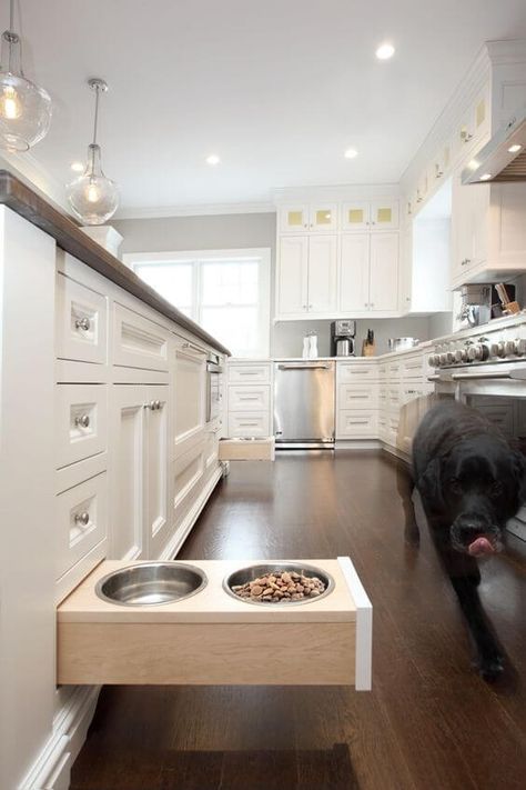 Planning a Kitchen Renovation?  Consider These Cool Storage Hacks �— Studio L Interior Design Diy Kitchen Hacks, Kitchen Storage Hacks, Beautiful Kitchen Designs, Diy Kitchen Renovation, Diy Kitchen Storage, Storage Hacks, Dog Bowl, Kitchen Remodel Idea, Ideas Kitchen