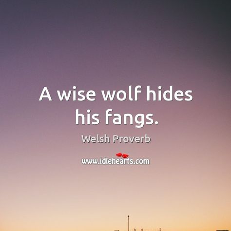 Welsh Proverbs, Welsh Sayings, Life Quotes Relationships, Quotes Relationships, Full Quote, Proverbs Quotes, Pottery Mugs, Note To Self, Famous Quotes