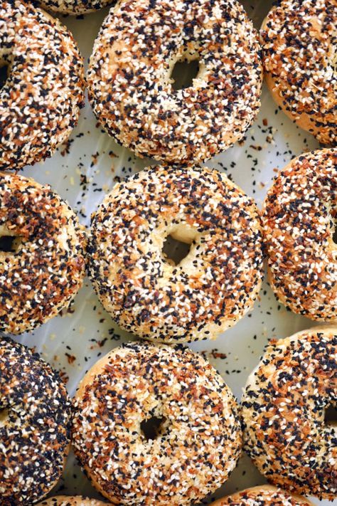 New York Style Bagels, New York Bagels, How To Make Bagels, Bagels Recipe, Sourdough Bagels, Lox And Bagels, New York Bagel, Bigger Bolder Baking, Baking Cookbooks