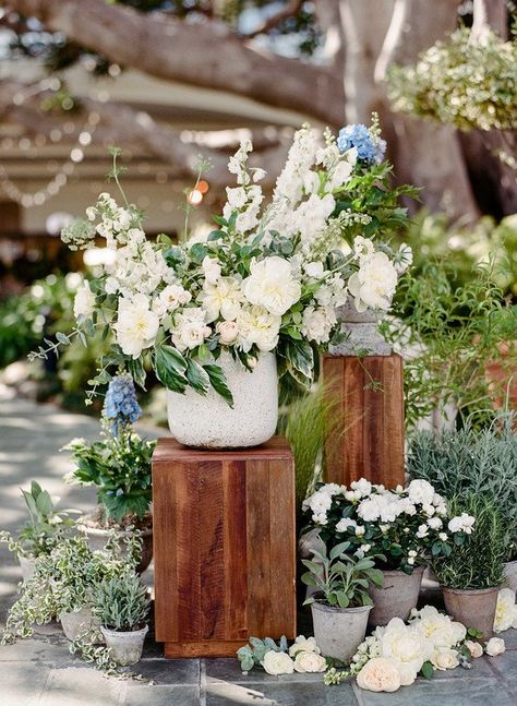 Potted Plants: The Greenery Wedding Decor Trend That's Totally Unexpected - floral wedding ceremony decor {Callista & Company} Lavender Potted Plant, Ceremony Arch Decor, Potted Plants Patio, Tattoo Plant, Wedding Plants, Spring Porch Decor, Greenery Wedding Decor, Ceremony Design, Wedding Aisle