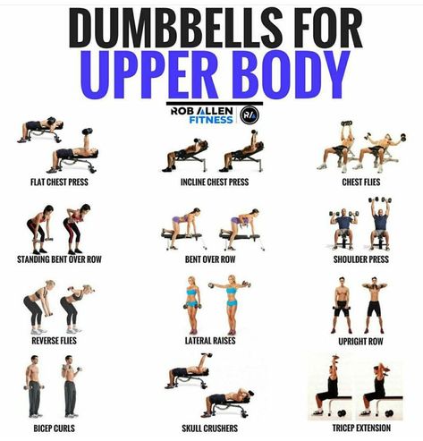 Chest Dumbell, Dumbell Workouts, Weights Women, Upper Body Exercise, Drawing Men, Lean Muscles, Crossfit Wods, Exercise Workouts, Gym Exercises