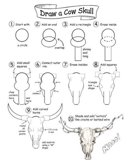 How To Draw A Bull Skull, How To Draw A Cow Skull Step By Step, How To Draw A Cow Skull, How To Draw Animal Skulls, How To Draw A Longhorn, Desert Skull Drawing, Cow Eyes Drawing, Western Skull Drawing, How To Draw A Buffalo