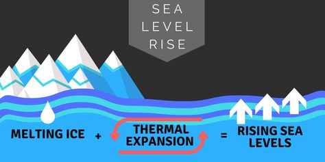 What is causing seal level rise? There are two main factors contributing to sea level rise. The first is thermal expansion caused by warming of the ocean. As water temperature warms, it expands, increasing the volume of ocean water. The second contribution to sea level rise is melting of land based ice. This ice includes glaciers and ice sheets that are melting at increased rates due to warming global temperatures 5th Grade Science, Rising Sea Levels Illustration, Sea Level Rise Illustration, Science Diagrams, Glaciers Melting, Easy Korean Words, Greenhouse Effect, Presentation Backgrounds, Thermal Expansion