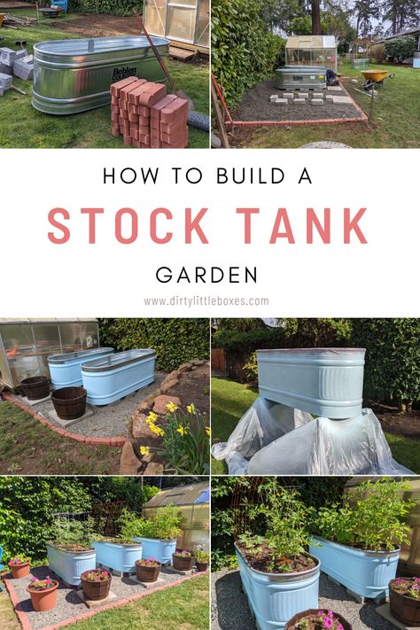 Have you had challenges growing food in the dirt in your yard. If your soil is hard clay or is full of roots or rocks, a raised bed garden could be the solution. Learn to build a raised bed stock tank garden in six steps. #pnwgardener #stocktankgardens #stocktanks #hillbillygarden #oregongardening #growwhatyoueat #creativegardens #gardendesign #raisedbedgardens #landscapedesign Water Tank For Garden, Garden Stock Tank, Stock Tanks For Gardening, Galvanized Tank Garden, Stock Tank Raised Bed Garden, Stock Tank Flower Garden, Water Trough Raised Garden Beds, Stock Tank Planter Raised Beds, Stock Tank Garden Ideas