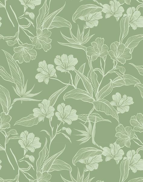 Green Phone Theme, Sage Green Background, Sunflower Iphone Wallpaper, Wallpaper Background Design, Classic Prints, Sage Green Wallpaper, Leaf Outline, Green China, Ios Wallpaper