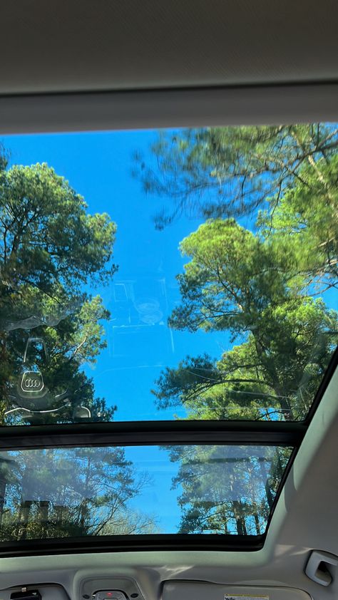 greenery, full car rooftop, audi aesthetic, green in the sky, trees aesthetic, summer vibes Sunroof Snap, Sunroof Car Snapchat Stories, Sunroof Car Pictures, Sunroof Aesthetic, Moonroof Car Aesthetic, Car With Sunroof Aesthetic, Green Sky Aesthetic Wallpaper, Sunroof Car Aesthetic, Sunroof Car