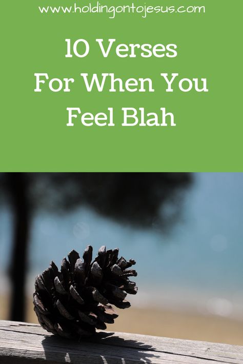 Do you ever just feel blah? Like you’re not sick, you’re not sleepy, but you just don’t feel right. Like your day or your life has turned to gray scale.  It’s just one of those days or weeks. No matter how you feel, God hasn’t moved away from you and hasn’t given up on you. Faith Lessons, Feeling Blah, Godly Living, Excited About Life, Mighty To Save, Gratitude Journals, Prayer Corner, Gray Scale, Bible Study Tips