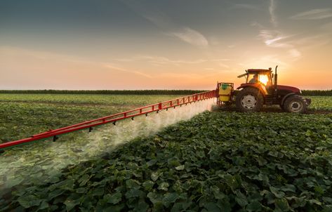 With Pesticides Like Glyphosate Taking a Hit, Will This Mean a Turning Point in US Agriculture? | FoodPrint Agricultural Sector, Earthworms, Soil Health, Environmental Science, Types Of Soil, Pesticides, Pest Control, Ufc, Pollution