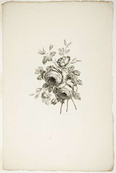 Bouquet with Roses, from Collection of Different Bouquets of Flowers, Invented and Drawn by Jean Pillement and Engraved by P. C. Canot | The Art Institute of Chicago Bouquet With Carnations, Bouquet With Peonies, Bouquet With Roses, Peony Drawing, Bouquets Of Flowers, French Ephemera, Vintage Bouquet, Pattern Design Inspiration, Botanical Illustration Vintage