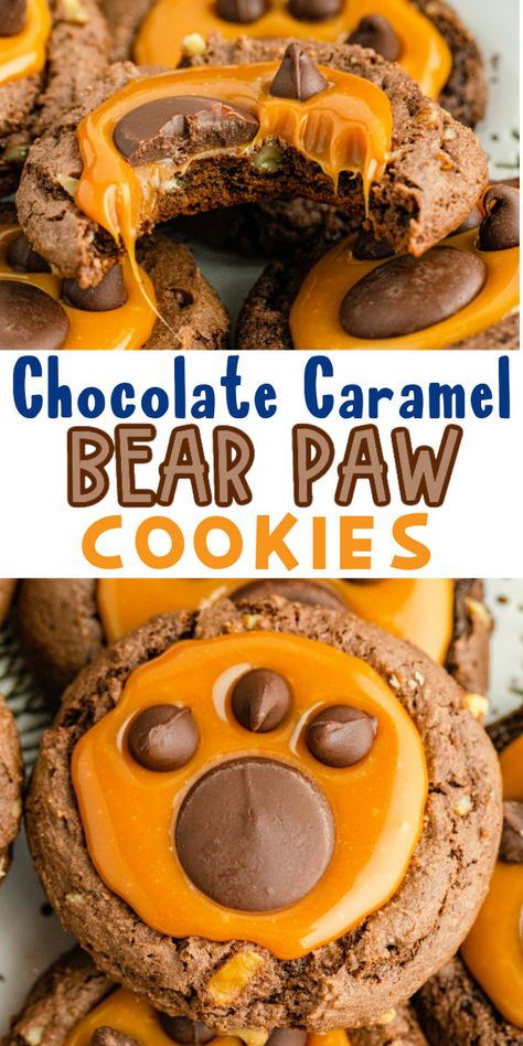 These fun homemade bear paw cookies are one of the most fun recipes for any time of year! A chocolate and caramel gets a chocolate paw print for the cutest bear paw cookies! Bear Paw Cookies, Fun Cookie Recipes, Melted Caramel, Paw Cookies, Chocolate Cake Mix Cookies, Chocolate No Bake Cookies, Drop Cookie Recipes, Teddy Bear Cookies, Best Chocolate Desserts