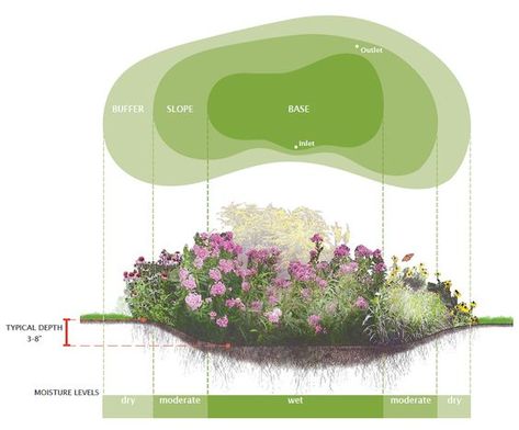 Rain Garden Design, Landscape Gardening, Planting Plan, Garden Design Plans, Landscape Architecture Design, Garden Architecture, Water Management, Landscape Plans, Rain Garden