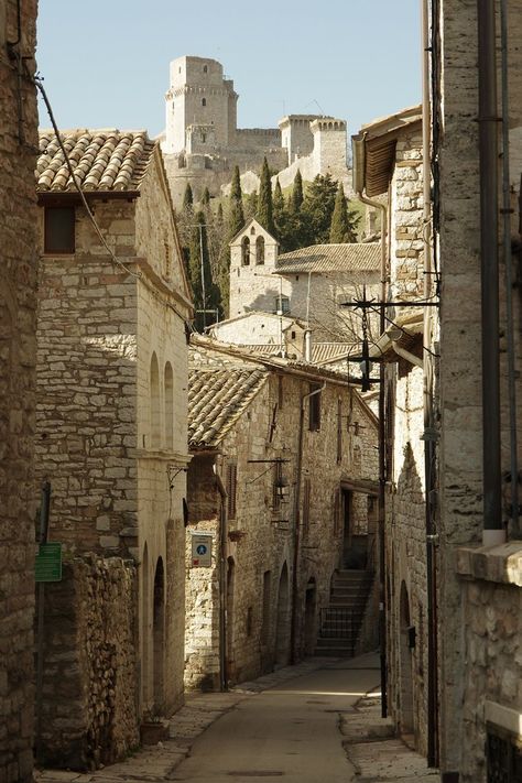 ITALIA Assisi Italy, Medieval Houses, His Dark Materials, Land Of Nod, Green Pasture, 1st Century, Water Me, Dog Blog, White Dogs