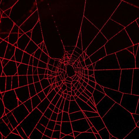 Aesthetic Spider, Man Background, Hobie Brown, Creepypasta Oc, Spiderman Theme, Miles Morales Spiderman, Magic Number, Spiderman Artwork, Punk Aesthetic