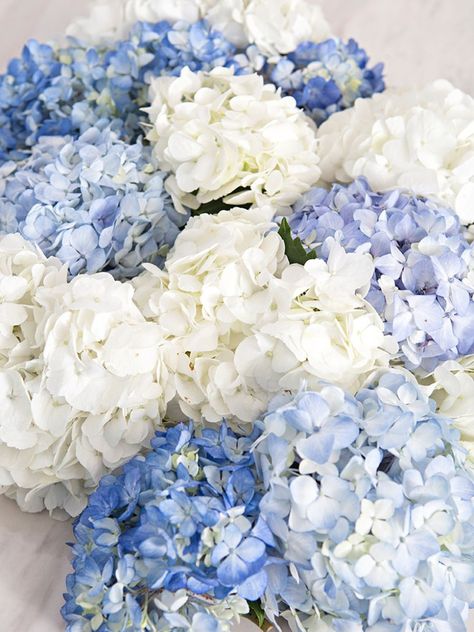 Blue Hydrangea Arrangements, Hydrangea Inspiration, Blue And Purple Hydrangea, Hydrangeas Bouquet, Hydrangea Centerpiece Wedding, Small Wedding Bouquets, Hydrangea Bouquet Wedding, Blue White Weddings, Blue Hydrangea Flowers