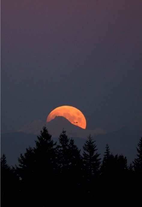 Most Beautiful Nature, Beautiful Nature Photography, Dream Moon, Orange Moon, Shoot The Moon, Moon Rising, Image Nature, Soyut Sanat Tabloları, Beautiful Moon