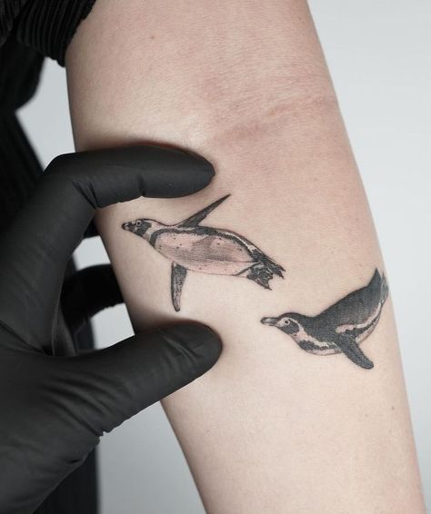 Penguin Tattoo Arctic Tattoo Sleeve, Penguin Swimming Tattoo, Realistic Penguin Tattoo, Gentoo Penguin Tattoo, Rockhopper Penguin Tattoo, Penguin Tattoo Men, Macaroni Penguin Tattoo, Tattoo Ideas Penguin, African Penguin Tattoo