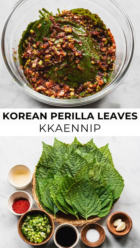 Korean perilla leaves with ingredients on the bottom Korean Perilla Leaves Recipe, Asian Vegetable Side Dish Recipes, Perilla Recipes, Perilla Leaves Recipes, Asian Party Food, Korean Side Dish Recipes, Shiso Recipe, Chinese Salads, Korean Food Side Dishes