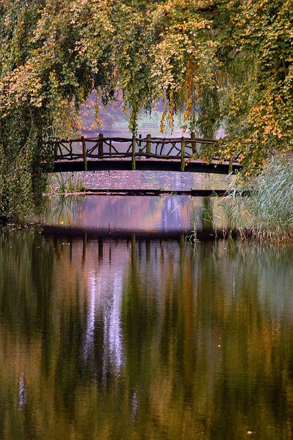 Bridge of Romance Image Zen, Bridge Over Troubled Water, Wooden Bridge, A Bridge, Pretty Places, Oh The Places Youll Go, Places Around The World, The Other Side, Dream Vacations