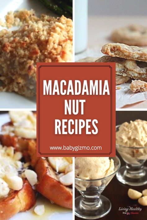 Recipes With Macadamia Nut Butter, Macadamia Pie, Macadamia Nut Butter Uses, Recipes With Macadamia, Macadamia Nut Dessert Recipes, Keto Macadamia Nut Recipes, Macadamia Desserts, Macadamia Nuts Recipes, Macadamia Nut Pie