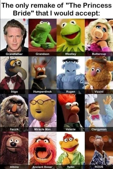 Westley And Buttercup, The Princess Bride, Fraggle Rock, I Just Realized, The Muppets, 80s Movies, Princess Bride, Funniest Memes, Jim Henson