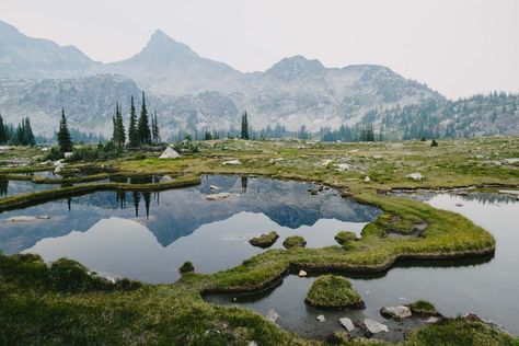 INTO VALHALLA / Field & Forest Rye Field, Collateral Beauty, Landscape Background, Wow Art, Canoeing, Nassau, Pretty Places, Ponds, Fantasy Landscape