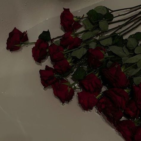 Anna + Core + Aesthetic, Maroon Aesthetic, Rosé Core, Burgundy Aesthetic, Dark Red Roses, Rosé Aesthetic, Dark Flowers, Nothing But Flowers, Dark Feminine Aesthetic