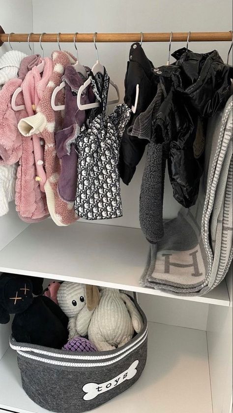 Spoiled Puppy Aesthetic, Puppy Mom Aesthetic, Spoiled Dog Aesthetic, Sala Grunge, Dog Bucket List, Dogs Things, Spoiled Puppy, Dog Room Decor, Puppy Room