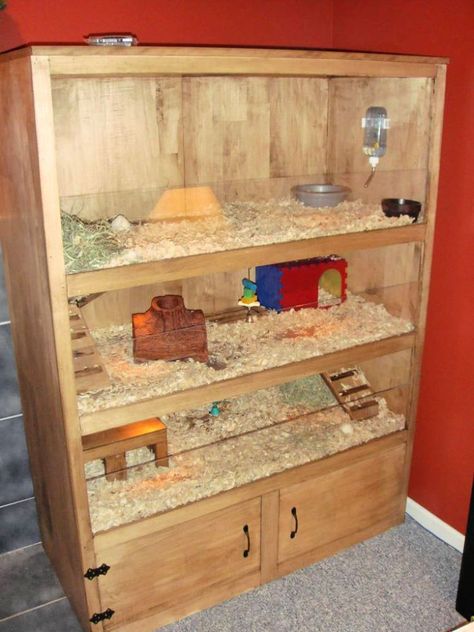 20 Homemade DIY Guinea Pig Cage Ideas Pig Habitat, Hedgehog Cage, Diy Guinea Pig Cage, Guinea Pig Diy, Guinea Pig Hutch, Guinea Pig House, Pig House, Hamster Cages, Bunny Cages