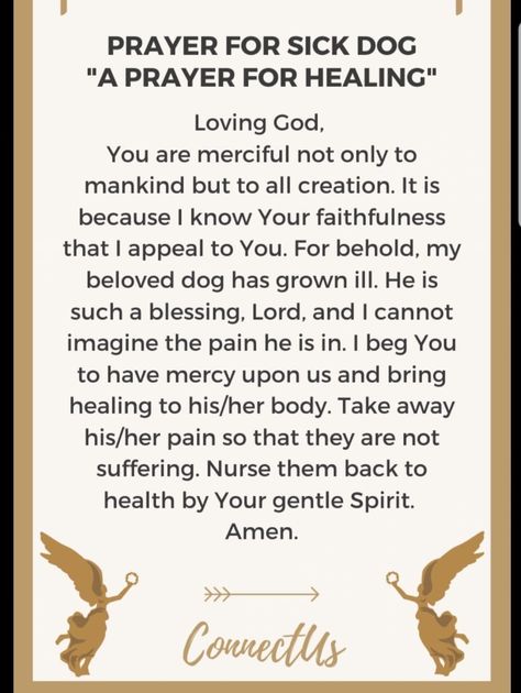 Prayers For Dogs Healing, Prayer For Sick Dog, Pet Quotes, Prayer For Health, Dog Poems, Healing Prayer, German Shepherd Mom, Personal Prayer, Everyday Prayers