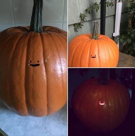 38 Memes for 30 Seconds of Scrolling - Funny Gallery Funny Pumpkin Carvings, Cute Pumpkin Carving, Pumpkin Carver, Pumkin Carving, Creative Pumpkin Carving, Amazing Pumpkin Carving, Fun Pumpkins, Pumpkin Carvings Stencils, Creative Pumpkins