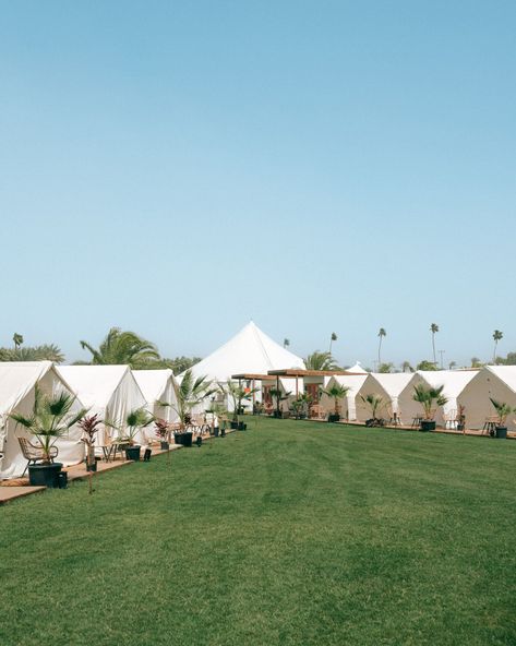 Coachella 2024 | Safari Campgrounds | Valley Music Travel Coachella Camping, Coachella 2024, Beer Case, Travel Team, Safari Tent, Airport Transportation, Travel Music, Best Kept Secret, Camping Tent