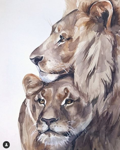 Lion Watercolor, Cute Tattoo Ideas, Lion Family, Cute Tattoo, Lion Painting, Architecture Sketchbook, Pastel Artwork, Big Cats Art, Canvas Drawings