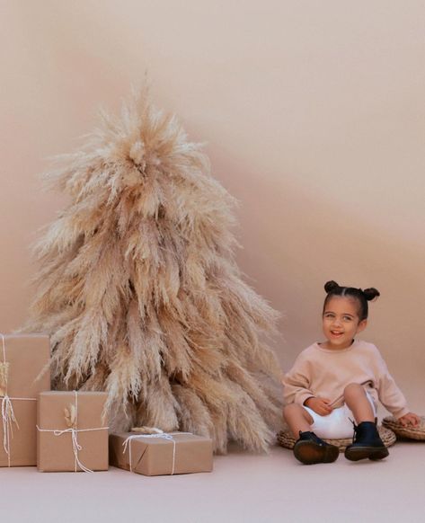 Pampas Christmas Tree, Elari Events, Pampas Christmas, Navidad Aesthetic, Mini Pampas, Christmas Tree Diy, Christmas Shoot, Ideas Para La Casa, Navidad Diy