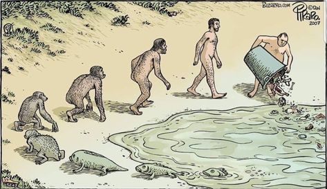 Evolution Cartoon, Evolution Art, Satirical Illustrations, Theory Of Evolution, Human Evolution, Charles Darwin, Save Earth, Funny Cartoons, Satire