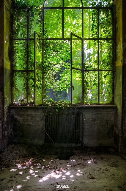 Nature Taking Over Buildings, Apocalypse Aesthetic, Fantasy Places, Brutalism, Nature Aesthetic, Pretty Places, Green Aesthetic, Fantasy Landscape, Abandoned Places