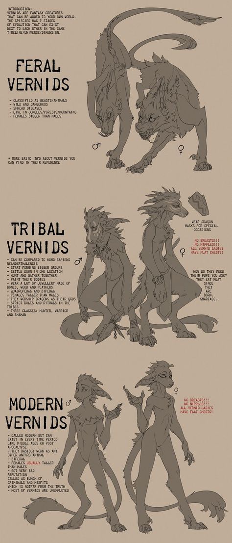 Oc Dnd Art, Fursuit Species Open, Species Ref Sheet, Creature Drawing Reference, Anthro Dragon Reference, Creature Concept Art Animals, Animal Drawing Reference, Dragon Design Concept, Monster Creature Design