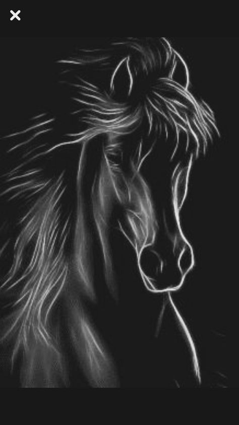 White Drawing, Black And White Drawing, A Horse, Pencil Drawing, A Black, Pencil, Black And White, Hair, White