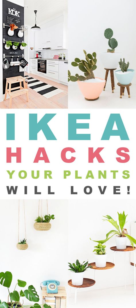 IKEA Hacks Your Plants Will LOVE! - The Cottage Market Ikea Plant Hacks, Ikea Plant Wall, Ikea Plant Stand, Ikea Planters, Ikea Lanterns, Ikea Plant, Ikea Bookshelf Hack, Ikea Basket, Mid Century Modern Plant Stand