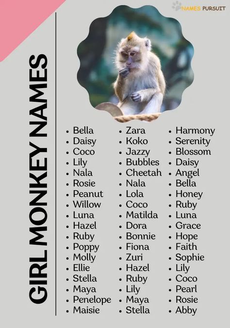 "Swing by and explore a charming collection of girl monkey names! 🐒 Perfect for your little primate princess or for a whimsical story character. Pin your favorites and share with those on the lookout for the perfect name. #GirlMonkeyNames #MonkeyMagic Monkey Names, Cute Pet Names, Girl Monkey, Monkey Girl, Cute Names, Funny Girl, Story Characters, Baby Monkey, Crafts Projects