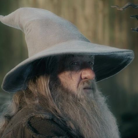 Gandalf Costume, Ian Mckellen Gandalf, Inktober 2024, Gandalf The Grey, The Hobbit Movies, Ian Mckellen, Thranduil, Jrr Tolkien, Fav Characters