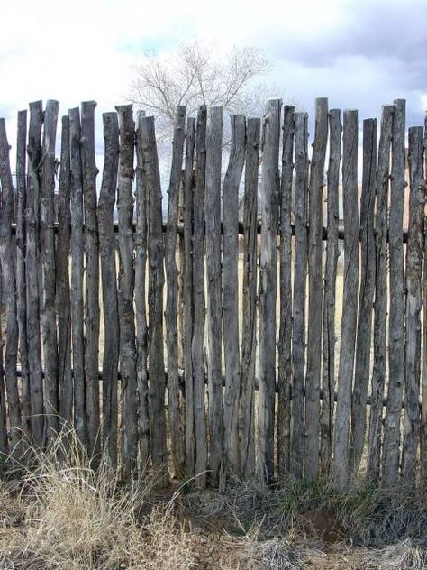 Unofficial Taos: Coyote Fence  Would look good around a pool for a rustic look instead of the normal picket fencing Easy Garden Wall, Rustic Fence Ideas Country Living, Coyote Fence, Driftwood Fence, Rustic Fencing, Rustic Fences, Old Wooden Fence, Timber Screen, Picket Fencing