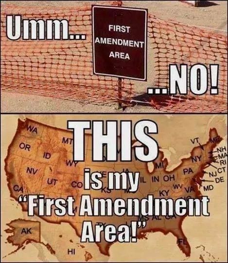 This First Amendment, Bill Of Rights, Constitutional Rights, Freedom Of Speech, American Patriot, Free Speech, The United States, Wake Up, Government