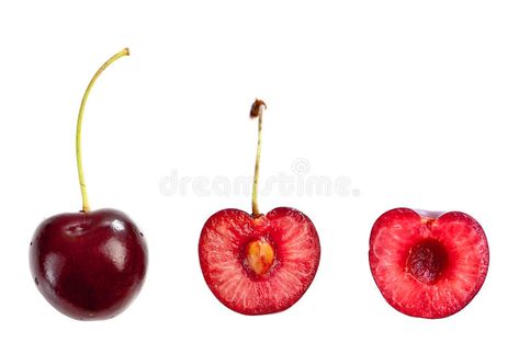 Cherry Drawing, Cherry Tattoos, White Image, Brochure Design Template, Funky Art, Adobe Stock, Stock Images Free, Line Art, Split