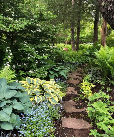 9 Beautiful Shady Yards Overflow With Lush Plantings Shade Loving Plants, Shade Garden Design, Hillside Garden, Shade Garden Plants, Farmhouse Landscaping, Cape Ann, Garden Idea, Farmhouse Garden, Forest Garden