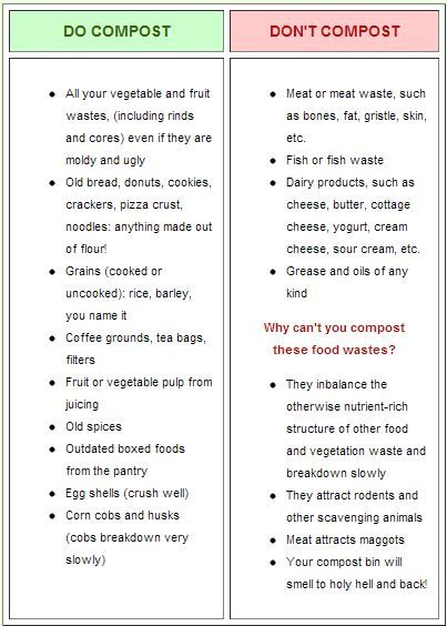 easy compost chart - Daria's science class is learning about composting Compost Garden, Composting 101, Diy Compost, Kitchen Scraps, Composting At Home, Worm Farm, Garden Compost, Pea Pods, Rooftop Garden