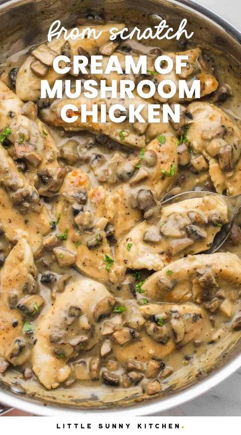 Chicken Egg Noodles Cream Of Mushroom, Cream Of Mushroom Chicken Casserole, Cream Of Mushroom Soup Recipes With Chicken, Chicken And Mushroom Recipes Healthy, Creamy Chicken And Mushroom Recipes, Chicken With Mushroom Soup, Chicken And Mushroom Recipes, Skillet Chicken Dinner, Chicken And Mushroom Soup