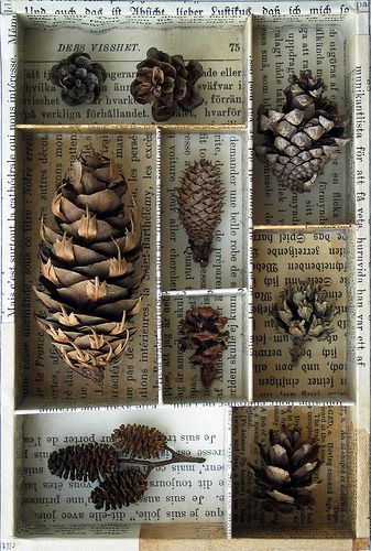 nature collection- it could be anything... feathers, pine cones... hot glued. Calligraphed paper would be even nicer than newsprint. Deco Nature, Cones Crafts, Nature Table, Pine Cone Crafts, Nature Collection, Assemblage Art, Old Book, Nature Crafts, Shadow Boxes