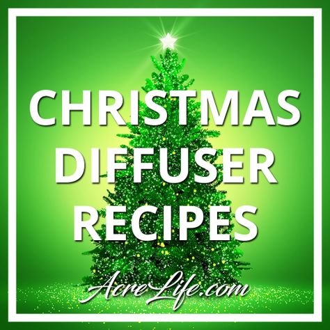 Essential Oil Christmas Diffuser Recipes - Acre Life Christmas Tree Essential Oil Recipe, Christmas Tree Diffuser Blend, Christmas Tree Essential Oil Blend, Essential Oil Recipes Diffuser, Christmas Diffuser Recipes, Essential Oil Christmas, Christmas Tree Essential Oil, Smells Of Christmas, Christmas Diffuser Blends