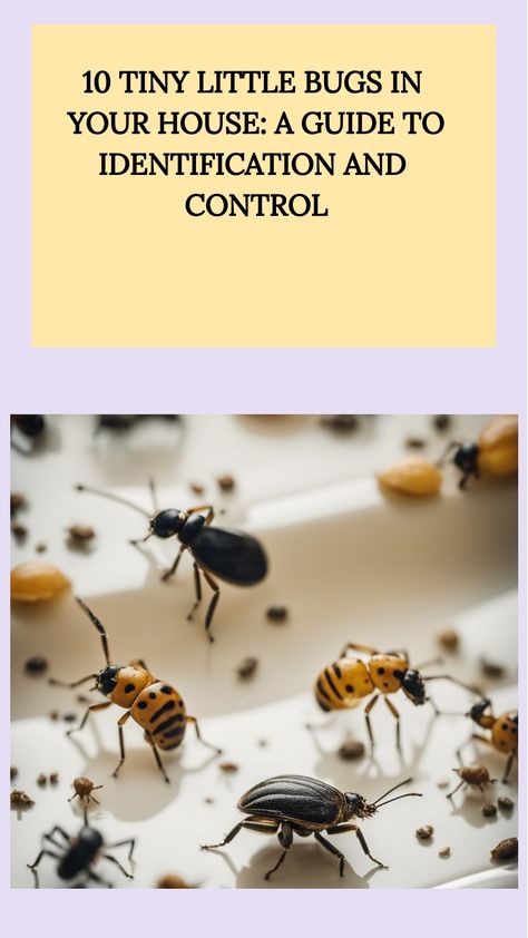 Tiny insects on a white surface, accompanying a guide to identification and control of bugs in the house. Tiny House Prices, Household Bugs, Brown Bugs, Bug Identification, Red Insects, Black Insects, House Bugs, Flea Beetles, Types Of Bugs